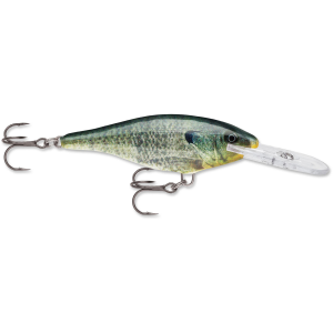 Image of Rapala Shad Rap | Live Bluegill; 2 3/4 in.