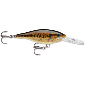 Image of Rapala Shad Rap | Live Smallmouth Bass; 2 3/4 in.