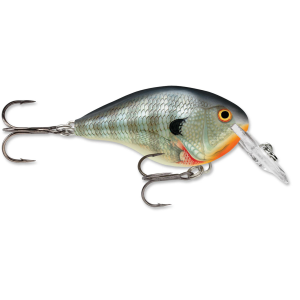 Image of Rapala DT Dives-To Crankbait | Bluegill; 6 ft.