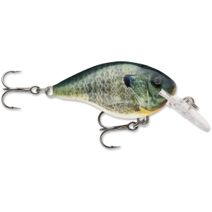 Image of Rapala DT Dives-To Crankbait | Live Bluegill; 4 ft.