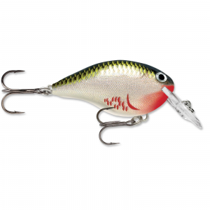 Image of Rapala DT Dives-To Crankbait | Bleeding Olive Shiner; 6 ft.