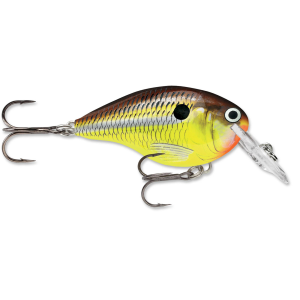 Image of Rapala DT Dives-To Crankbait | Hot Mustard; 4 ft.