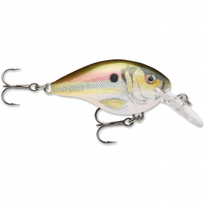 Image of Rapala DT Dives-To Crankbait | Live River Shad; 6 ft.