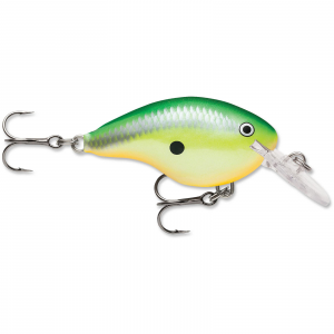 Image of Rapala DT Dives-To Crankbait | Rasta; 6 ft.