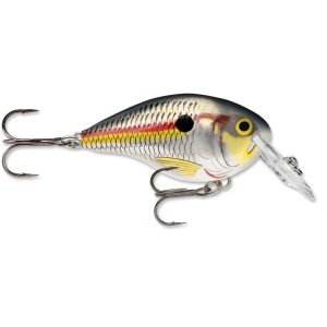 Image of Rapala DT Dives-To Crankbait | Shad; 10 ft.