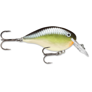 Image of Rapala DT Dives-To Crankbait | Smash; 10 ft.