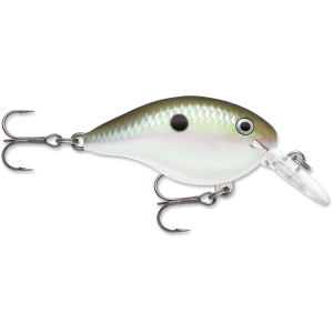Image of Rapala DT Dives-To Crankbait | Green Gizzard Shad; 14 ft.