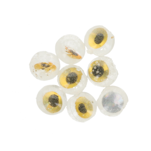 Image of Soco Baits Crazy Eye Soft Bait | Gold; 1/2 in.