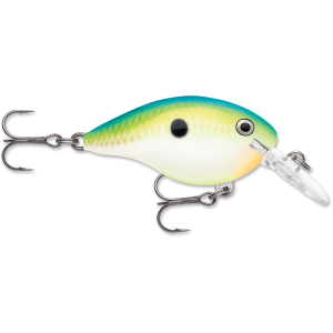 Image of Rapala DT Dives-To Crankbait | Citrus Shad; 8 ft.