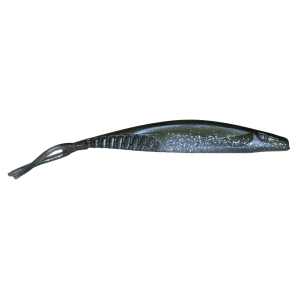 Image of Jenko The Don | Tennessee Shad; 6 in.