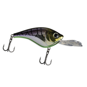 Image of WalleyeX Predator Crankbait | Chrome Tiger; 1 7/8 in.