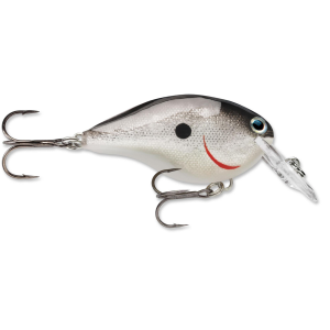 Image of Rapala DT Dives-To Crankbait | Silver; 8 ft.