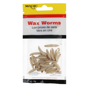 Image of Magic Products Preserved Wax Worms | Natural