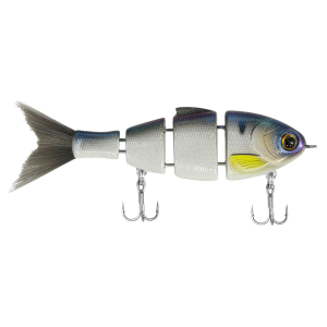 Bucca Brand Lil Baby Bull Shad Swim Bait | Threadfintastic; 2 1/2 in.