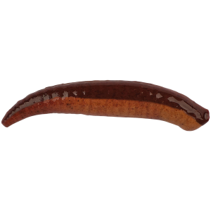 Image of Berkley Gulp! Floating Pinched Crawlers | Nightcrawler; 1 in.; Original Scent