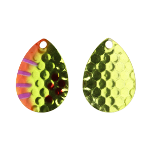 Image of Warrior Colorado Blades | Got a Worm; 5