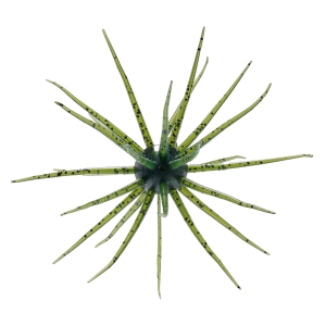 Image of Hideup Coike JDM 13mm Creature Bait | Watermelon Seed; 13 mm