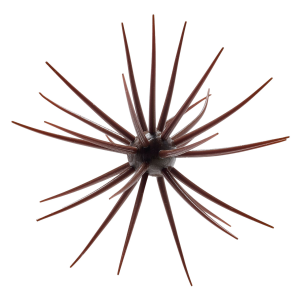 Image of Hideup Coike JDM 13mm Creature Bait | Green Pumpkin; 13 mm