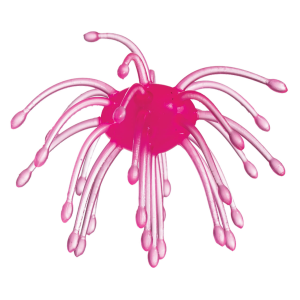 Image of G-Ratt Baits Webber | Pink; 1 in.