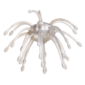 Image of G-Ratt Baits Webber | Pearl; 1 in.