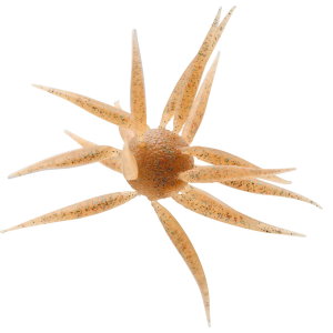 Hideup Coike Fish Elastomer L Urchin Bait | Moebi