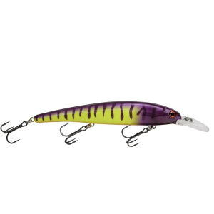 Image of Bandit Walleye Shallow Diver | Electric Zebra; 4 3/4 in.