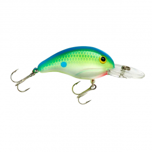 Image of Bandit 200 Series Crankbait | Citrus Shad; 2 in.