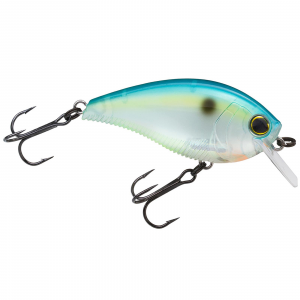 Image of Yo-Zuri 3DB 1.5 Squarebill Crankbait | Citrus Shad; 2 3/8 in.