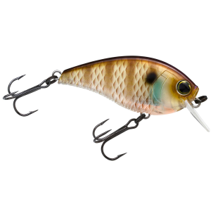Image of Yo-Zuri 3DB 1.5 Squarebill Crankbait | Natural Bluegill; 2 3/8 in.
