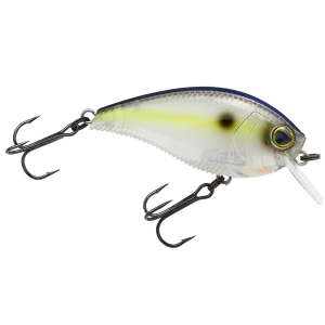 Image of Yo-Zuri 3DB 1.5 Squarebill Crankbait | Sexy Shad; 2 3/8 in.