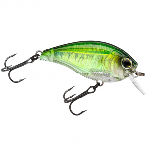 Image of Yo-Zuri 3DB 1.5 Squarebill Crankbait | Real Baby Bass; 2 3/8 in.