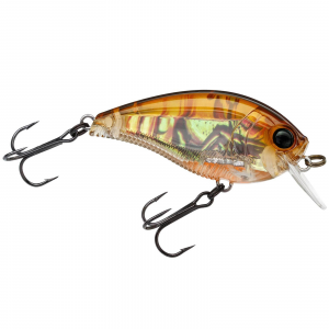 Image of Yo-Zuri 3DB 1.5 Squarebill Crankbait | Real Brown Crawfish; 2 3/8 in.