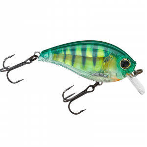 Image of Yo-Zuri 3DB 1.5 Squarebill Crankbait | Real Perch; 2 3/8 in.