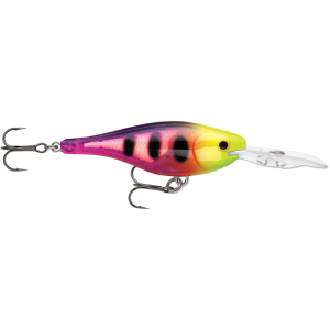 Image of Rapala Glass Shad Rap | Glass Fruit Punch; 1 1/2 in.