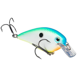 Image of Strike King KVD Square Bill Crankbait | Citrus Shad; 1.5