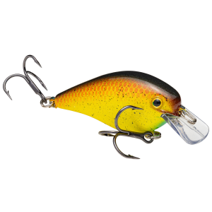 Image of Strike King KVD Square Bill Crankbait | Bully; 1.0