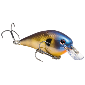 Image of Strike King KVD Square Bill Crankbait | Bluegill; 1.0