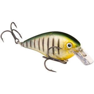 Image of Strike King KVD Square Bill Crankbait | Phantom Perch; 1.5