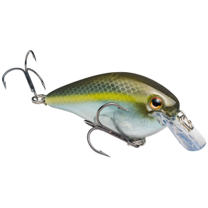 Image of Strike King KVD Square Bill Crankbait | Sexy Ghost Minnow; 1.5