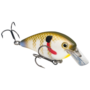 Image of Strike King KVD Square Bill Crankbait | Sexy Sunfish; 2.5