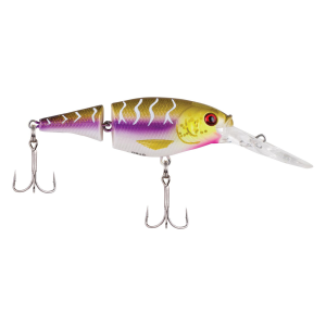 Image of Berkley Flicker Shad Jointed Crankbait | Purple Tiger; 2 3/4 in.