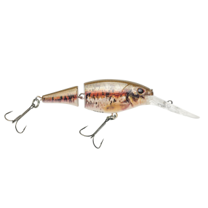 Image of Berkley Flicker Shad Jointed Crankbait | HD Blacknose Dace; 2 in.