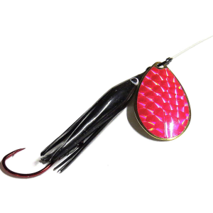 Image of Wicked Lures King Killers | Black-Pink