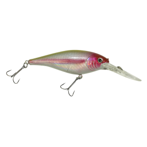 Image of Berkley Flicker Shad Crankbait | Chrome Clown ; 3 in.