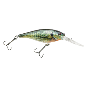 Image of Berkley Flicker Shad Crankbait | HD Bluegill; 3 in.