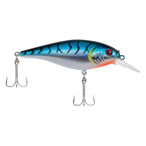 Image of Berkley Flicker Shad Shallow Crankbait | Blue Tiger; 2 in.