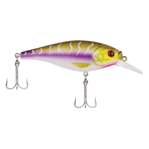 Image of Berkley Flicker Shad Shallow Crankbait | Purple Tiger; 2 in.