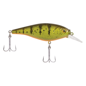 Image of Berkley Flicker Shad Shallow Crankbait | Yellow Perch; 2 in.