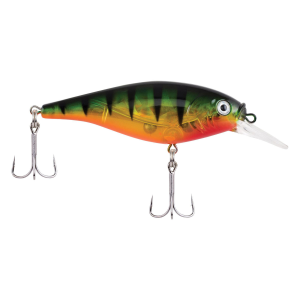 Image of Berkley Flicker Shad Shallow Crankbait | Flashy Perch; 2 3/4 in.