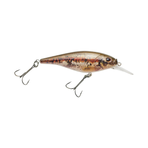 Image of Berkley Flicker Shad Shallow Crankbait | HD Blacknose Dace; 2 in.